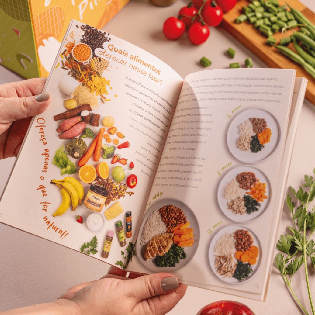 Livreto Introdu&ccedil;&atilde;o Alimentar